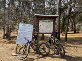 Bike Park Pogno