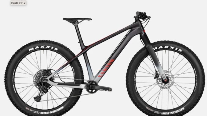 Screenshot 2023-06-04 alle 19.19.16 - dimensioni grandi Fat bike
