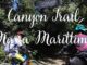 Trail Canyon a Massa Marittima