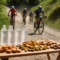 Cosa mangiano i pro: i rifornimenti in gara di XC ed enduro